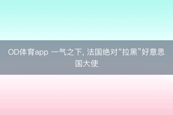 OD体育app 一气之下， 法国绝对“拉黑”好意思国大使