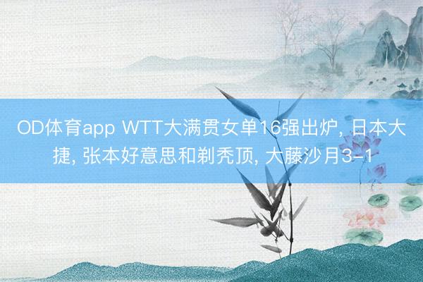 OD体育app WTT大满贯女单16强出炉, 日本大捷, 张本好意思和剃秃顶, 大藤沙月3-1