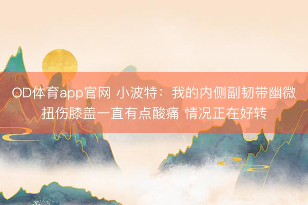 OD体育app官网 小波特：我的内侧副韧带幽微扭伤膝盖一直有点酸痛 情况正在好转