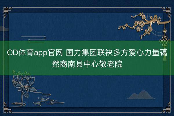 OD体育app官网 国力集团联袂多方爱心力量蔼然商南县中心敬老院