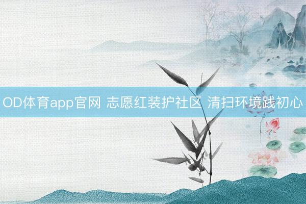 OD体育app官网 志愿红装护社区 清扫环境践初心