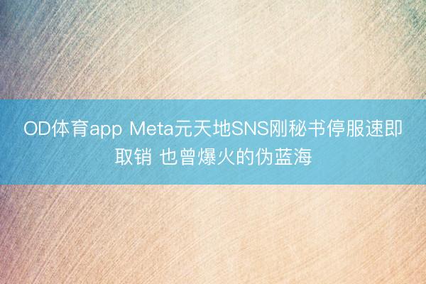 OD体育app Meta元天地SNS刚秘书停服速即取销 也曾爆火的伪蓝海