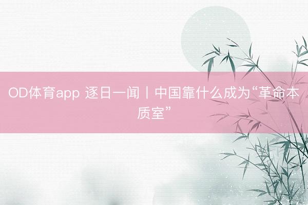 OD体育app 逐日一闻丨中国靠什么成为“革命本质室”