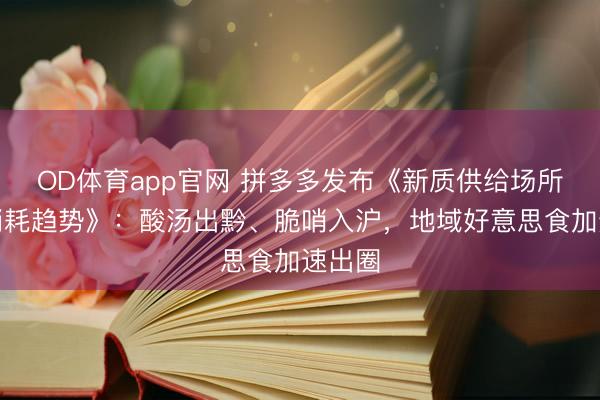 OD体育app官网 拼多多发布《新质供给场所风姿消耗趋势》：酸汤出黔、脆哨入沪，地域好意思食加速出圈