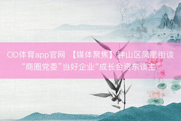 OD体育app官网 【媒体聚焦】钟山区凤凰街谈“商圈党委”当好企业“成长合资东谈主”