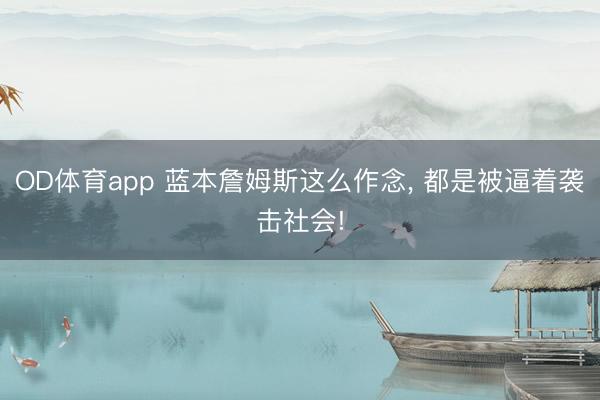 OD体育app 蓝本詹姆斯这么作念， 都是被逼着袭击社会!