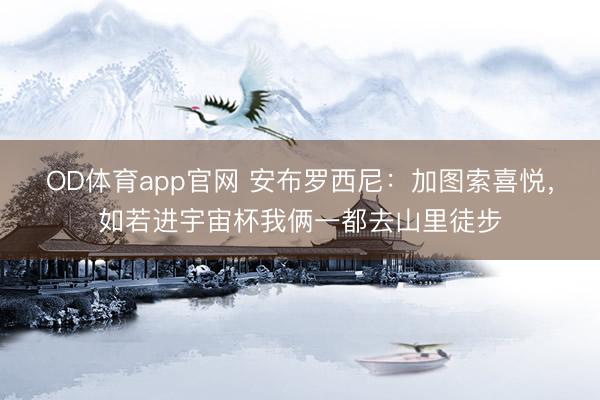 OD体育app官网 安布罗西尼：加图索喜悦，如若进宇宙杯我俩一都去山里徒步