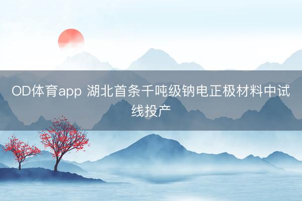 OD体育app 湖北首条千吨级钠电正极材料中试线投产