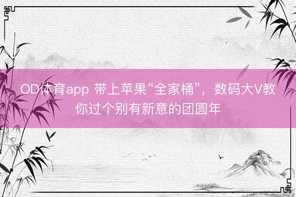 OD体育app 带上苹果“全家桶”，数码大V教你过个别有新意的团圆年