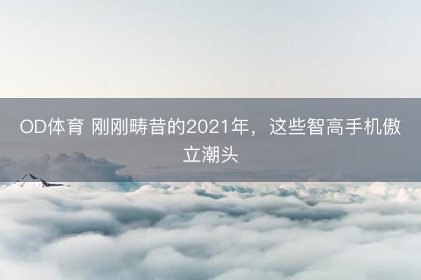 OD体育 刚刚畴昔的2021年，这些智高手机傲立潮头