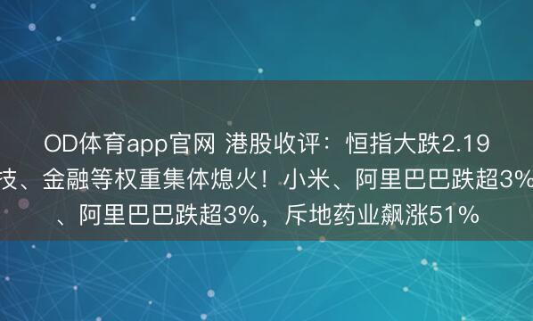 OD体育app官网 港股收评：恒指大跌2.19%两日跌超千点，科技、金融等权重集体熄火！小米、阿里巴巴跌超3%，斥地药业飙涨51%
