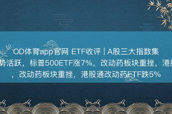 OD体育app官网 ETF收评 | A股三大指数集体下落，跨境ETF逆势活跃，标普500ETF涨7%，改动药板块重挫，港股通改动药ETF跌5%