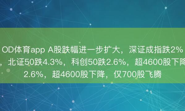 OD体育app A股跌幅进一步扩大，深证成指跌2%，沪指跌1.53%，北证50跌4.3%，科创50跌2.6%，超4600股下降，仅700股飞腾