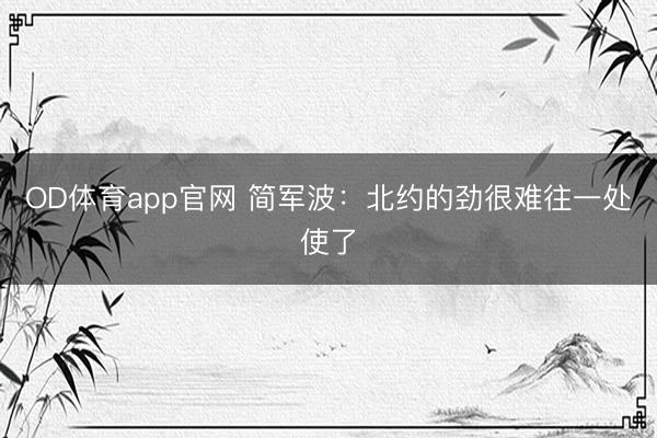 OD体育app官网 简军波：北约的劲很难往一处使了
