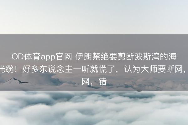 OD体育app官网 伊朗禁绝要剪断波斯湾的海底光缆！好多东说念主一听就慌了，认为大师要断网，错