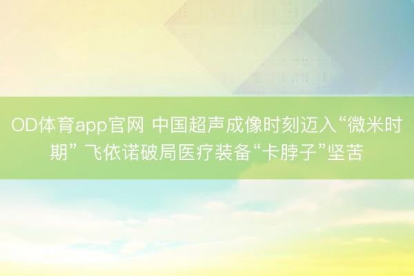 OD体育app官网 中国超声成像时刻迈入“微米时期” 飞依诺破局医疗装备“卡脖子”坚苦