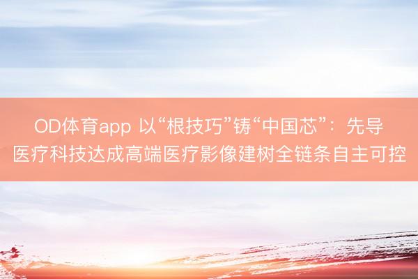 OD体育app 以“根技巧”铸“中国芯”：先导医疗科技达成高端医疗影像建树全链条自主可控