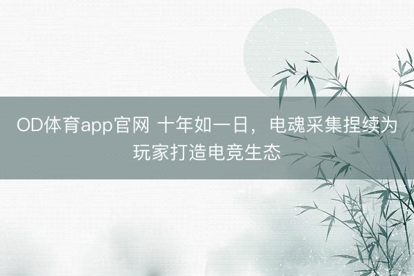 OD体育app官网 十年如一日，电魂采集捏续为玩家打造电竞生态