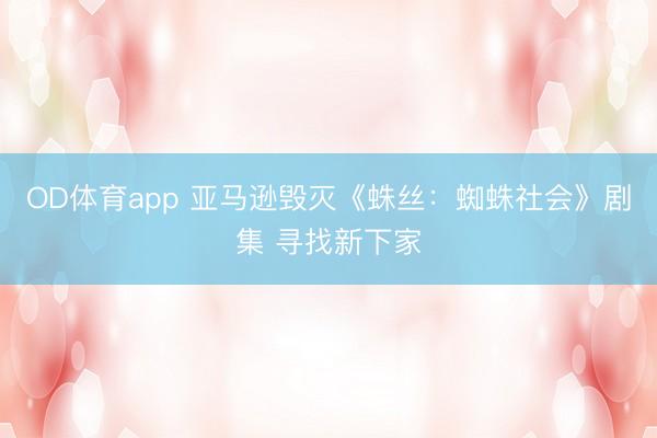 OD体育app 亚马逊毁灭《蛛丝：蜘蛛社会》剧集 寻找新下家