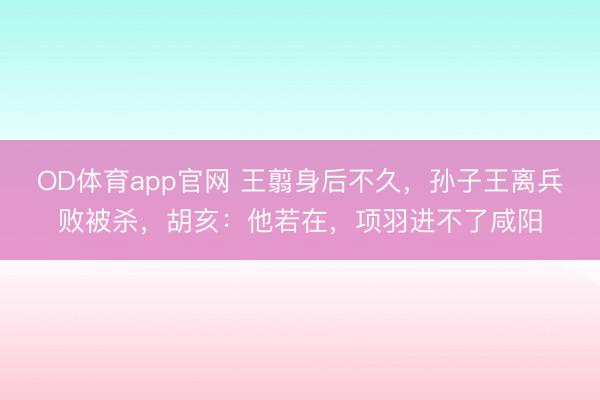 OD体育app官网 王翦身后不久，孙子王离兵败被杀，胡亥：他若在，项羽进不了咸阳