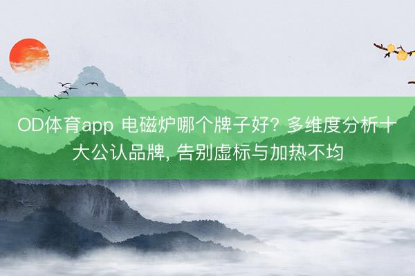 OD体育app 电磁炉哪个牌子好? 多维度分析十大公认品牌， 告别虚标与加热不均