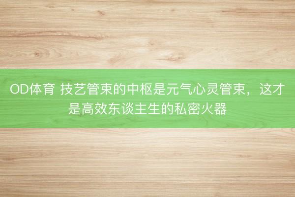 OD体育 技艺管束的中枢是元气心灵管束，这才是高效东谈主生的私密火器