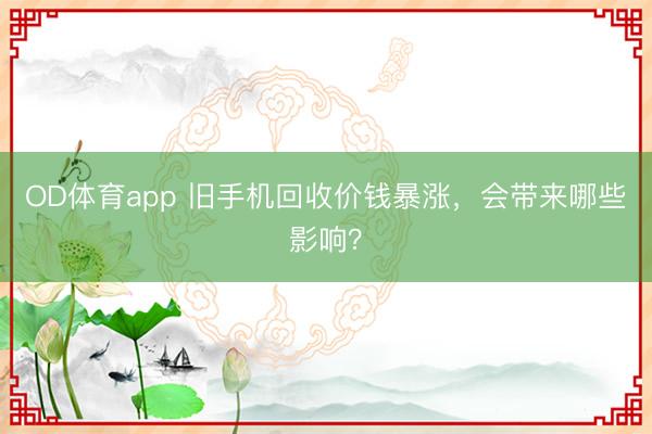 OD体育app 旧手机回收价钱暴涨，会带来哪些影响？