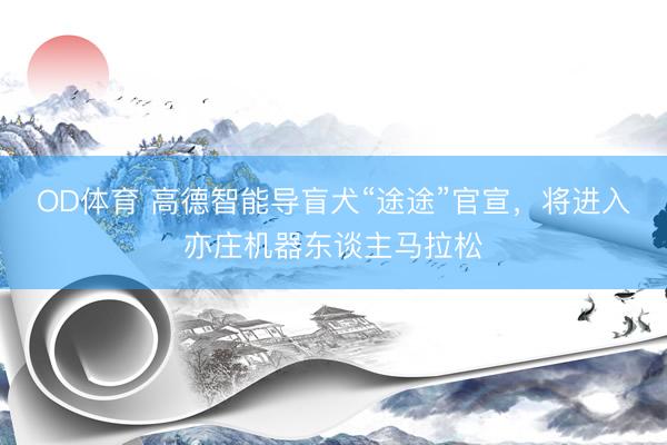OD体育 高德智能导盲犬“途途”官宣，将进入亦庄机器东谈主马拉松