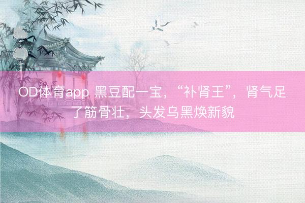 OD体育app 黑豆配一宝，“补肾王”，肾气足了筋骨壮，头发乌黑焕新貌