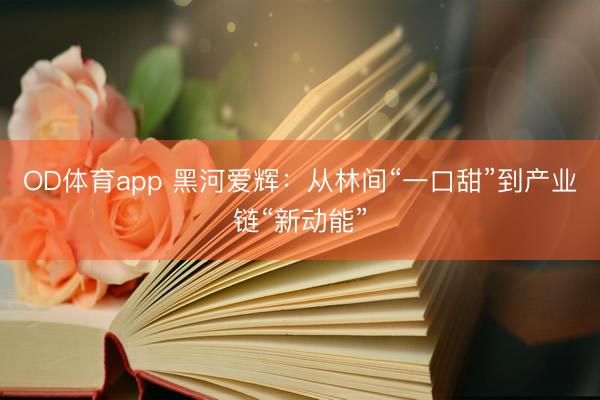 OD体育app 黑河爱辉：从林间“一口甜”到产业链“新动能”