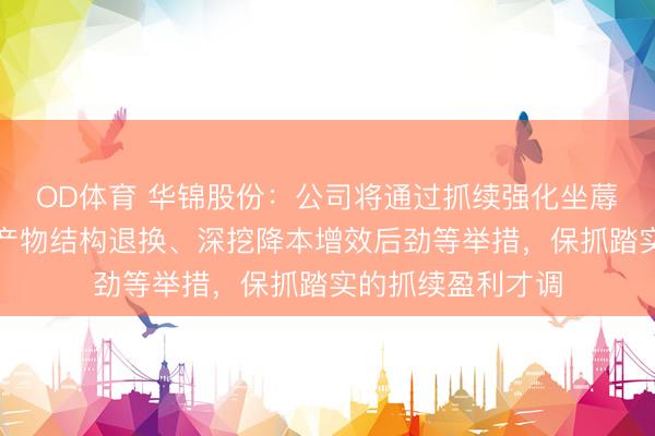 OD体育 华锦股份：公司将通过抓续强化坐蓐计较管控、优化产物结构退换、深挖降本增效后劲等举措，保抓踏实的抓续盈利才调