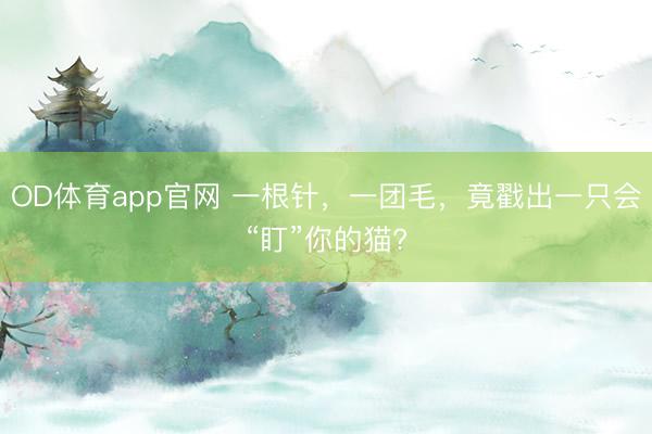 OD体育app官网 一根针，一团毛，竟戳出一只会“盯”你的猫?