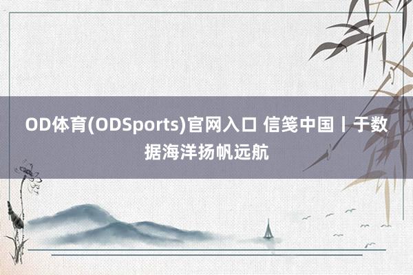 OD体育(ODSports)官网入口 信笺中国丨于数据海洋扬帆远航