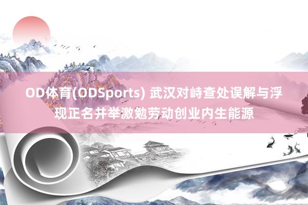 OD体育(ODSports) 武汉对峙查处误解与浮现正名并举激勉劳动创业内生能源