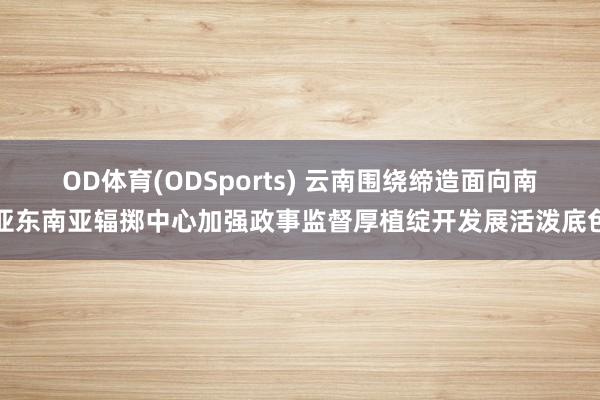OD体育(ODSports) 云南围绕缔造面向南亚东南亚辐掷中心加强政事监督厚植绽开发展活泼底色