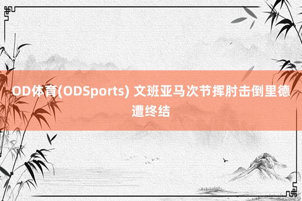 OD体育(ODSports) 文班亚马次节挥肘击倒里德遭终结