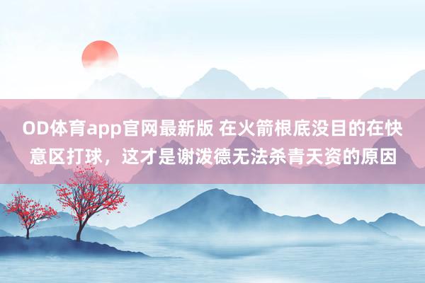 OD体育app官网最新版 在火箭根底没目的在快意区打球，这才是谢泼德无法杀青天资的原因