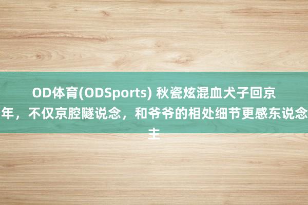 OD体育(ODSports) 秋瓷炫混血犬子回京两年，不仅京腔隧说念，和爷爷的相处细节更感东说念主