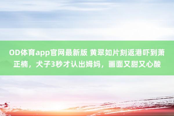 OD体育app官网最新版 黄翠如片刻返港吓到萧正楠，犬子3秒才认出姆妈，画面又甜又心酸