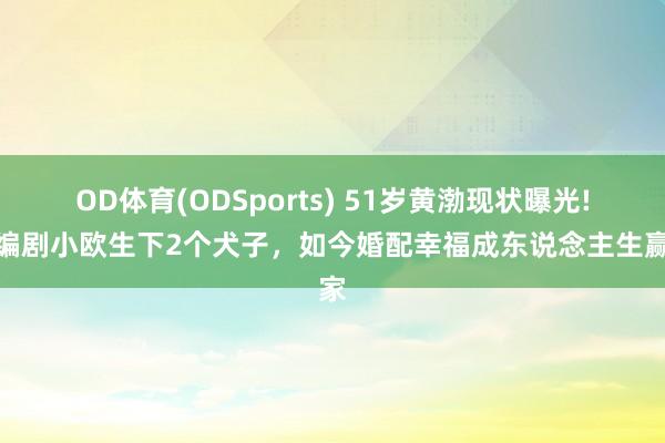 OD体育(ODSports) 51岁黄渤现状曝光!娶编剧小欧生下2个犬子，如今婚配幸福成东说念主生赢家