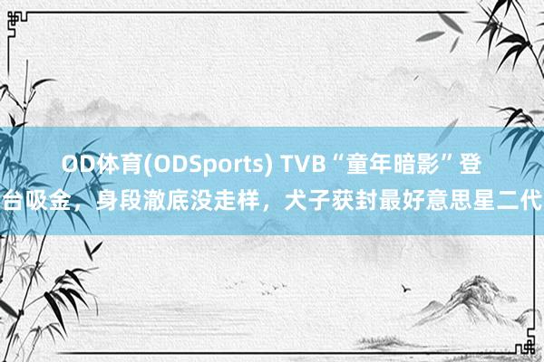 OD体育(ODSports) TVB“童年暗影”登台吸金，身段澈底没走样，犬子获封最好意思星二代