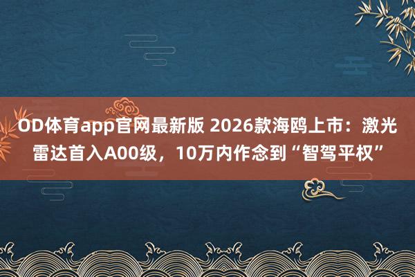 OD体育app官网最新版 2026款海鸥上市：激光雷达首入A00级，10万内作念到“智驾平权”