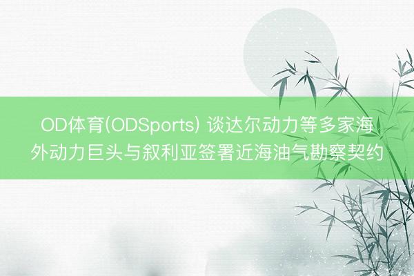 OD体育(ODSports) 谈达尔动力等多家海外动力巨头与叙利亚签署近海油气勘察契约