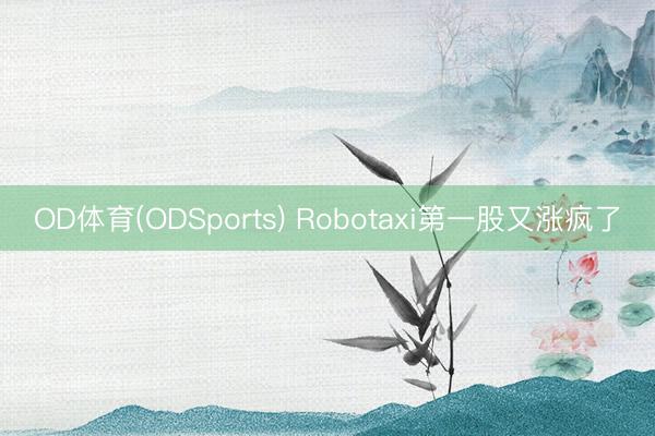 OD体育(ODSports) Robotaxi第一股又涨疯了
