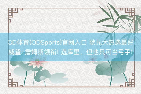 OD体育(ODSports)官网入口 状元大热选最好威望: 詹姆斯领衔! 选库里、但他只可当弓手!
