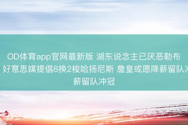 OD体育app官网最新版 湖东说念主已厌恶勒布朗? 好意思媒提倡8换2梭哈扬尼斯 詹皇或愿降薪留队冲冠
