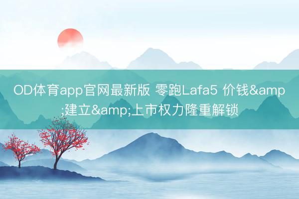 OD体育app官网最新版 零跑Lafa5 价钱&建立&上市权力隆重解锁