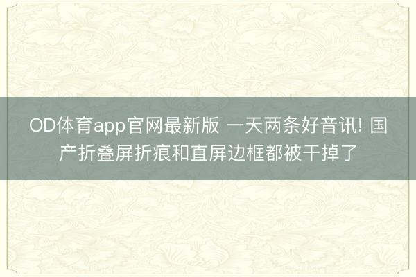 OD体育app官网最新版 一天两条好音讯! 国产折叠屏折痕和直屏边框都被干掉了