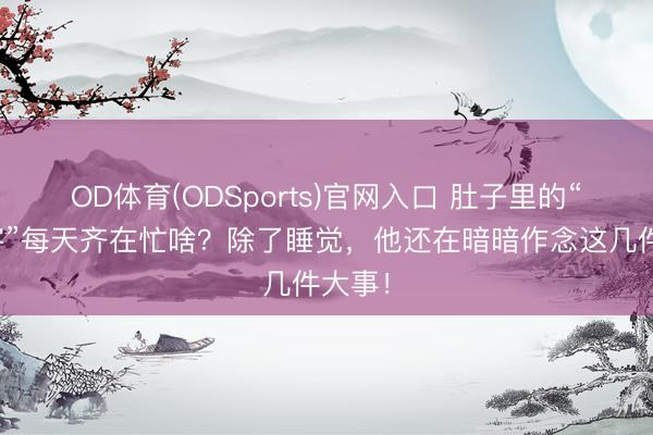 OD体育(ODSports)官网入口 肚子里的“斗室客”每天齐在忙啥？除了睡觉，他还在暗暗作念这几件大事！