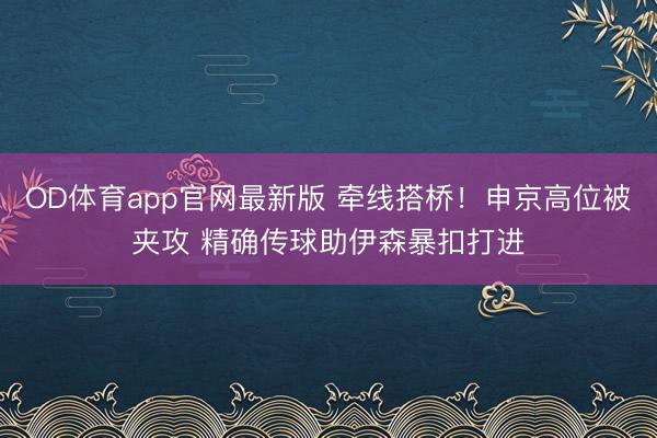 OD体育app官网最新版 牵线搭桥！申京高位被夹攻 精确传球助伊森暴扣打进